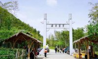 5月12日：徒步貢茶古道，天然氧吧，綠色之旅
